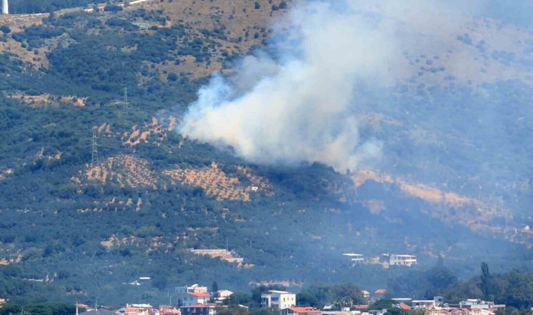 Kaynak yaparken yangına sebep olan şahıs gözaltına alındı Balıkesir’in Marmara ilçesinde kırsal alanda başlayan ve büyük ölçüde kontrol