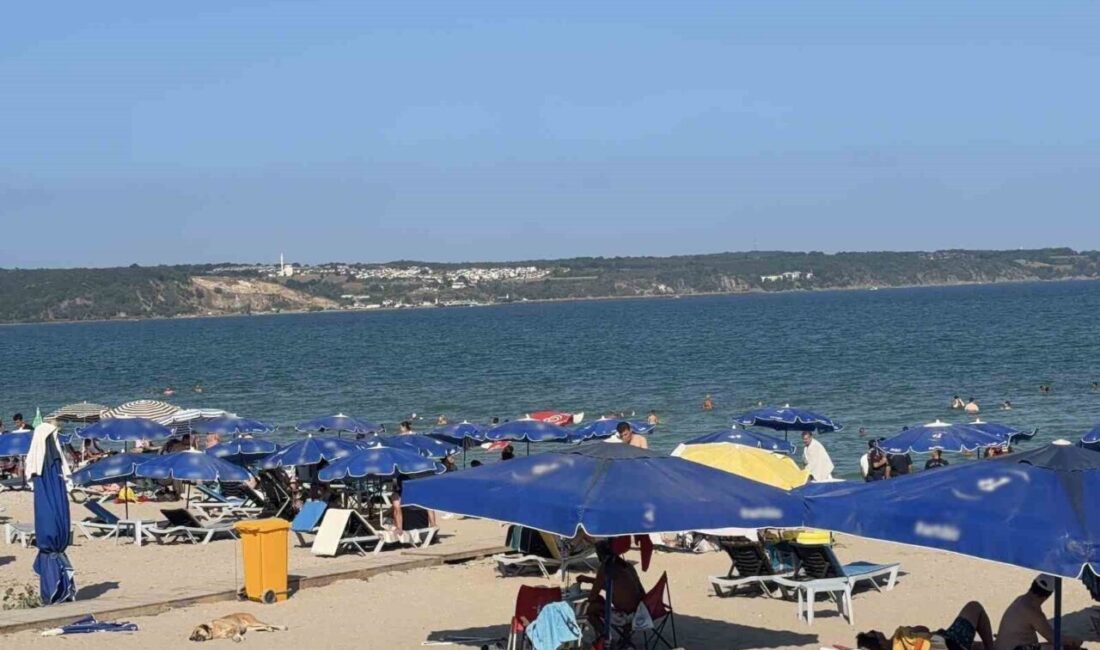 Hava sıcaklıklarının etkisini artırdığı Kırklareli’nin Demirköy ilçesine bağlı İğneada beldesinde