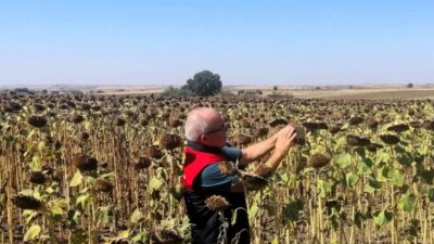 Kırklareli’nde İl Tarım ve Orman Müdürlüğü teknik personelleri tarafından, Tarım