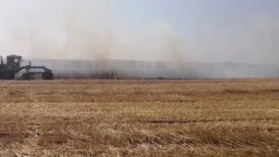 Kırklareli'nin Lüleburgaz ilçesinde anız ve otluk alanda çıkan yangın, kuvvetli