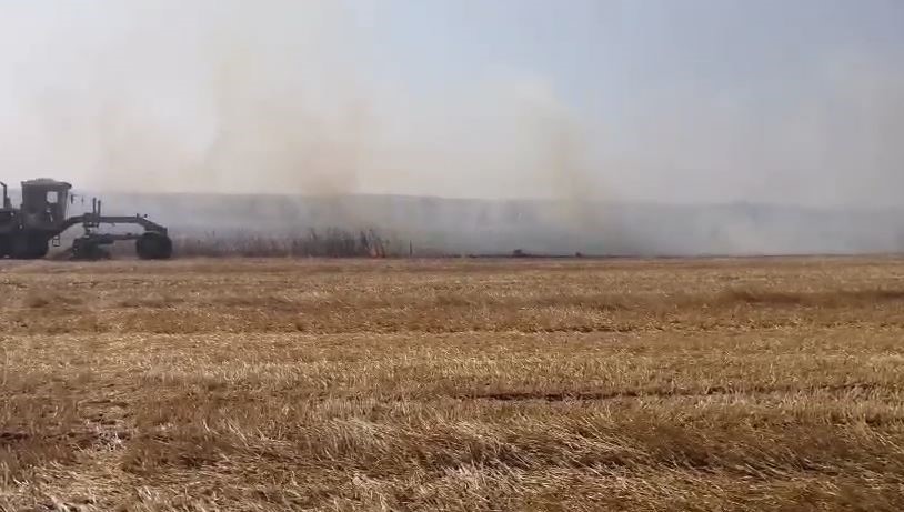 Kırklareli'nin Lüleburgaz ilçesinde anız ve otluk alanda çıkan yangın, kuvvetli