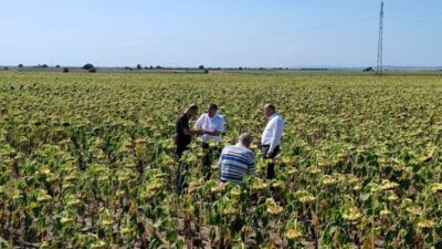 Kırklareli’nde Trakya Tarımsal Araştırma Enstitüsü Müdürlüğü tarafından geliştirilen yerli ve