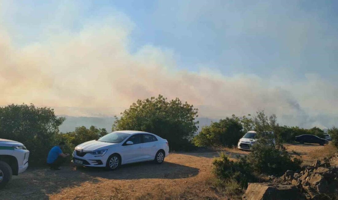 Kocaeli Valiliği, Gebze ilçesinde orman dışı alanda başlayarak ormanlık alana
