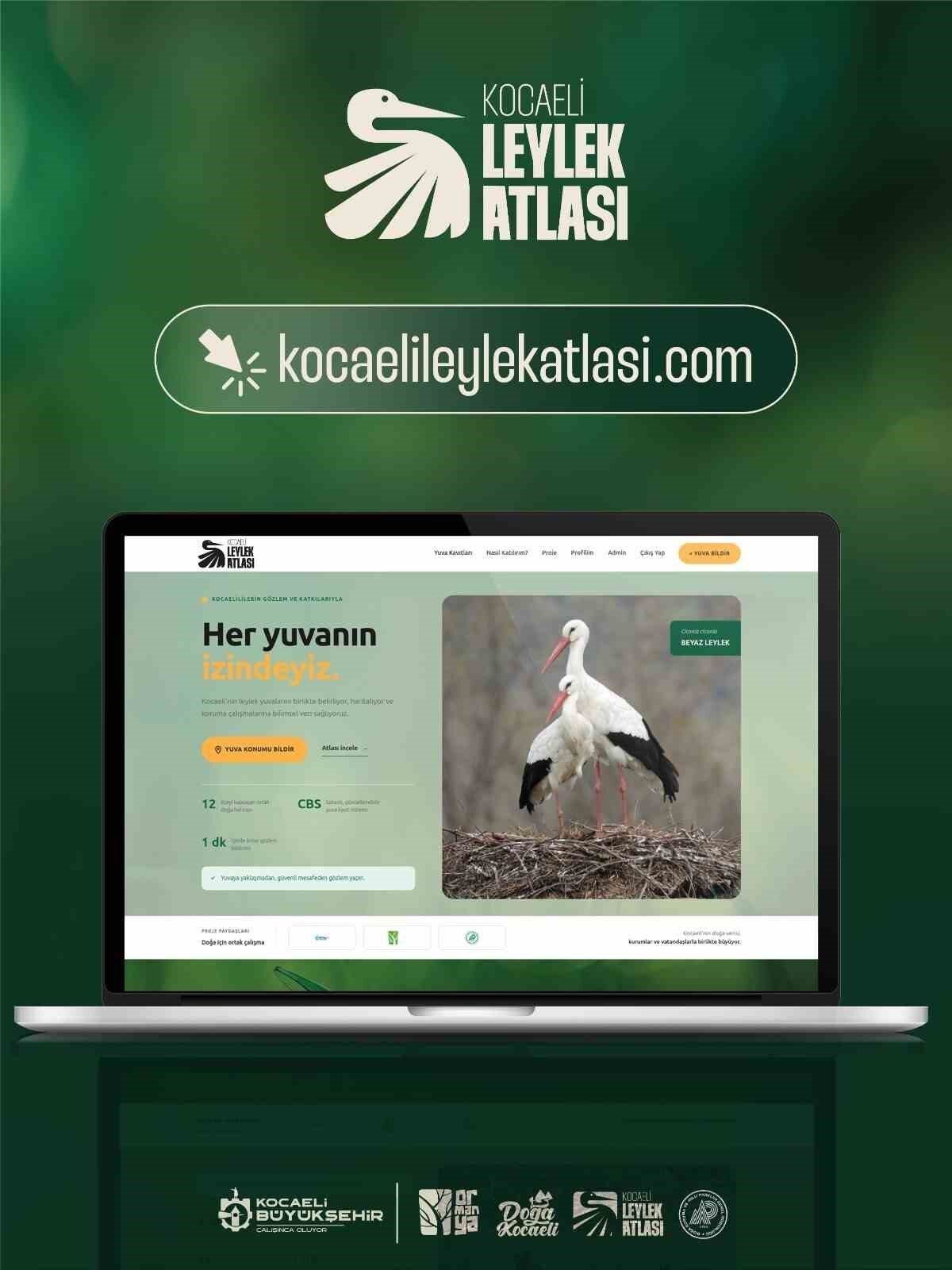 Kocaeli’de leylek yuvaları mercek altında 12 Bülten Medya -