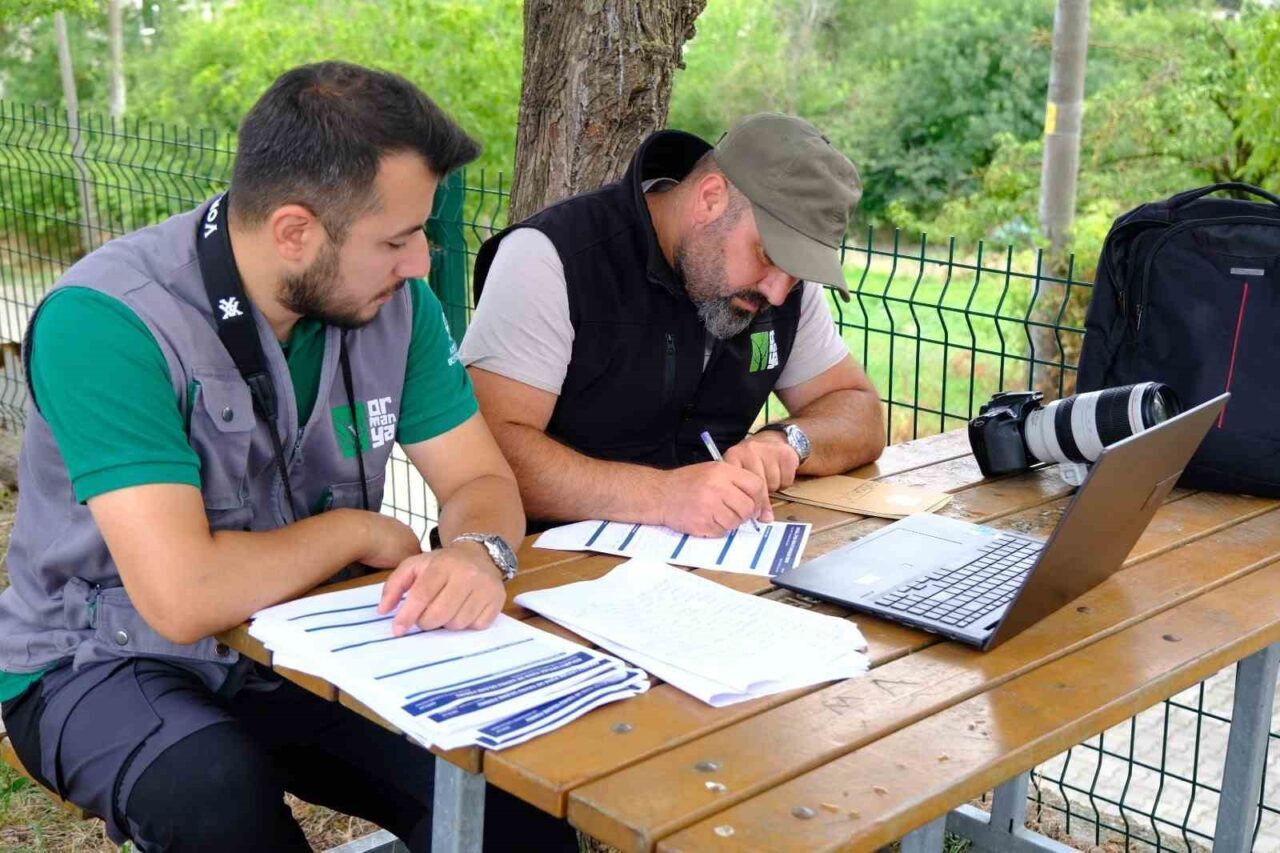 Kocaeli’de leylek yuvaları mercek altında 10 Bülten Medya -