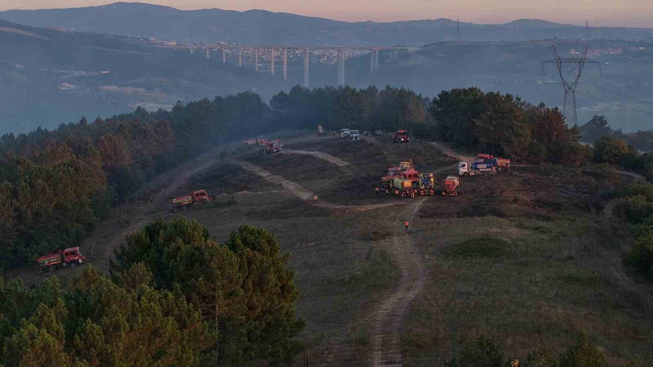 Kocaeli’deki orman yangını kontrol altına alındı 21 Bülten Medya -