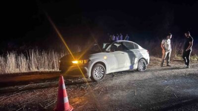 Bilecik’te seyir halinde kontrolden çıkan otomobil şarampole uçarken, sürücüsü yaralandı.