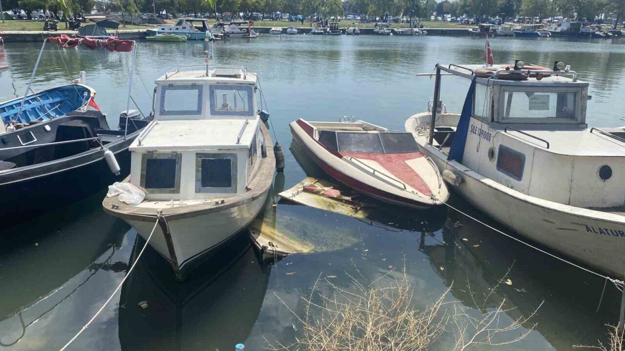 Küçükçekmece Menekşe Deresi’nde batık tekneler karabatakların yuvası oldu 23 Bülten Medya -