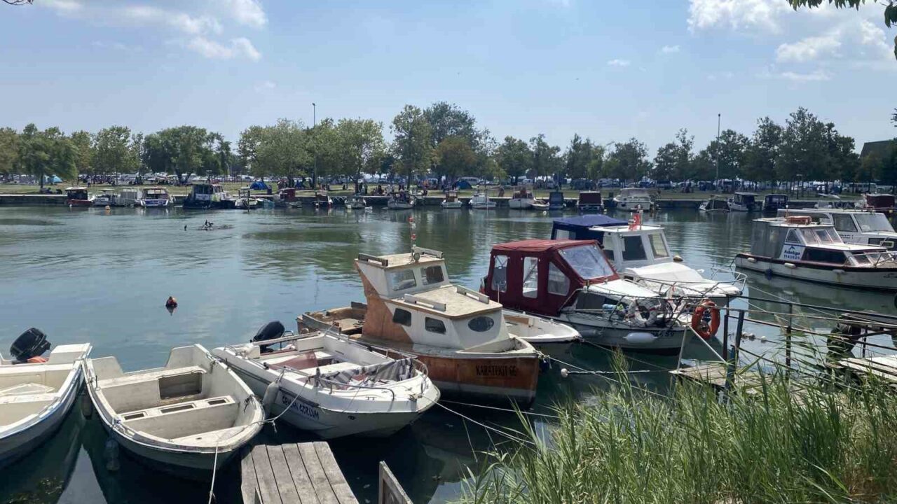 Küçükçekmece Menekşe Deresi’nde batık tekneler karabatakların yuvası oldu 24 Bülten Medya -