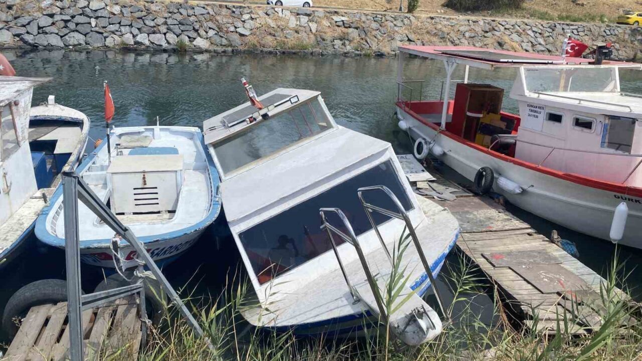 Küçükçekmece Menekşe Deresi’nde batık tekneler karabatakların yuvası oldu 19 Bülten Medya -