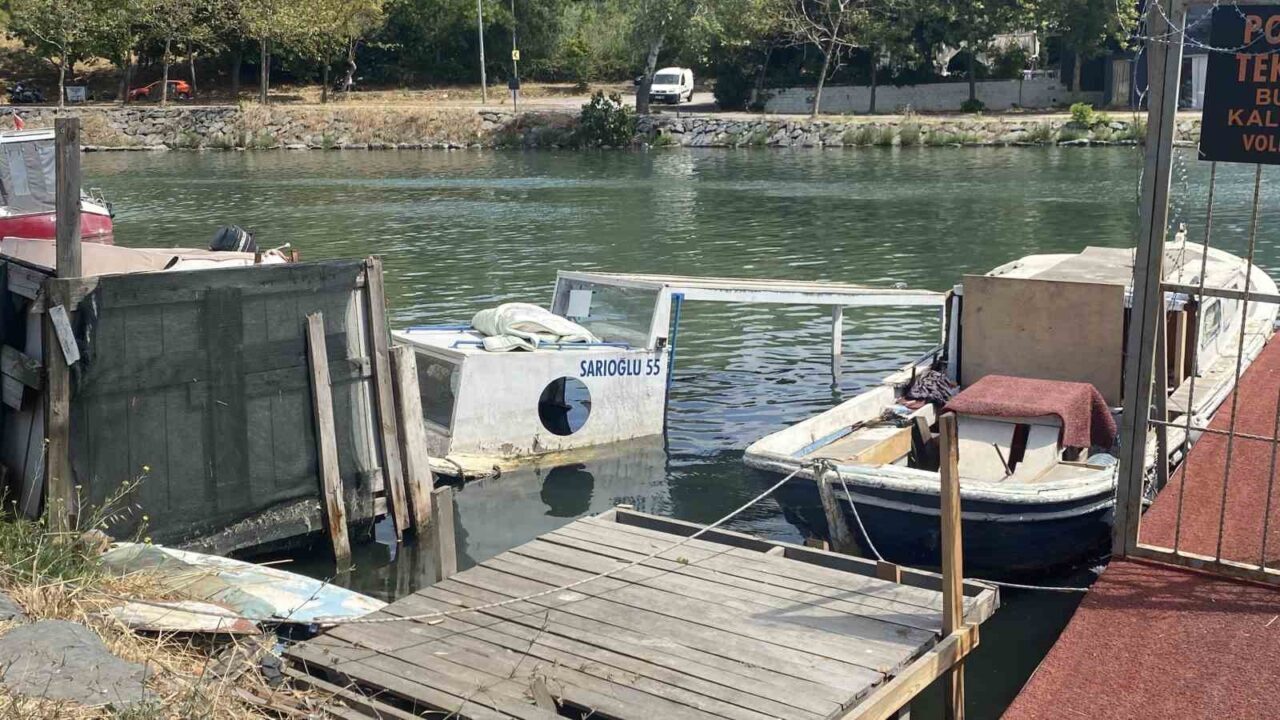 Küçükçekmece Menekşe Deresi’nde batık tekneler karabatakların yuvası oldu 20 Bülten Medya -