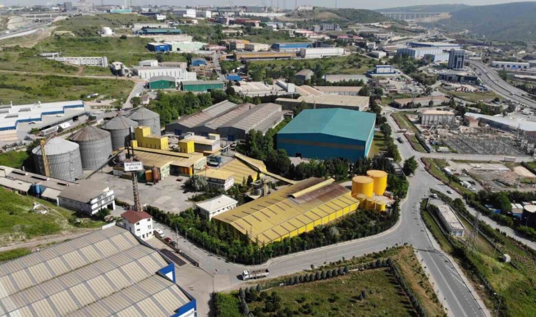 Lütfü Türkkan’ın fabrikasına milyonluk kötü koku cezası Kocaeli’nin Dilovası ilçesini bir süredir adeta esir alan ve vatandaşları