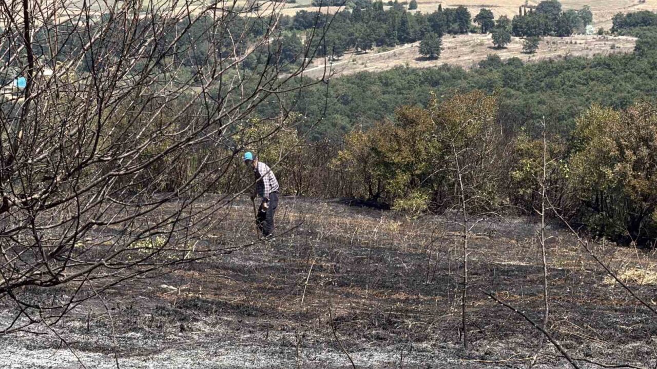Makilik alanı alevler sardı, ekipler ve vatandaşlar seferber oldu 30 Bülten Medya -