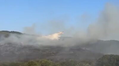 Balıkesir’in Manyas ilçesinde arazide çıkan ve ormanlık alana sıçrayan yangını