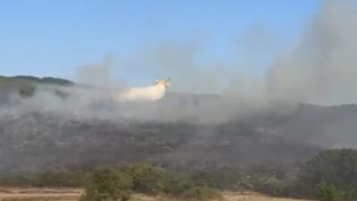 Balıkesir’in Manyas ilçesinde ormanlık alandaki yangın, ekiplerin müdahalesiyle kontrol altına