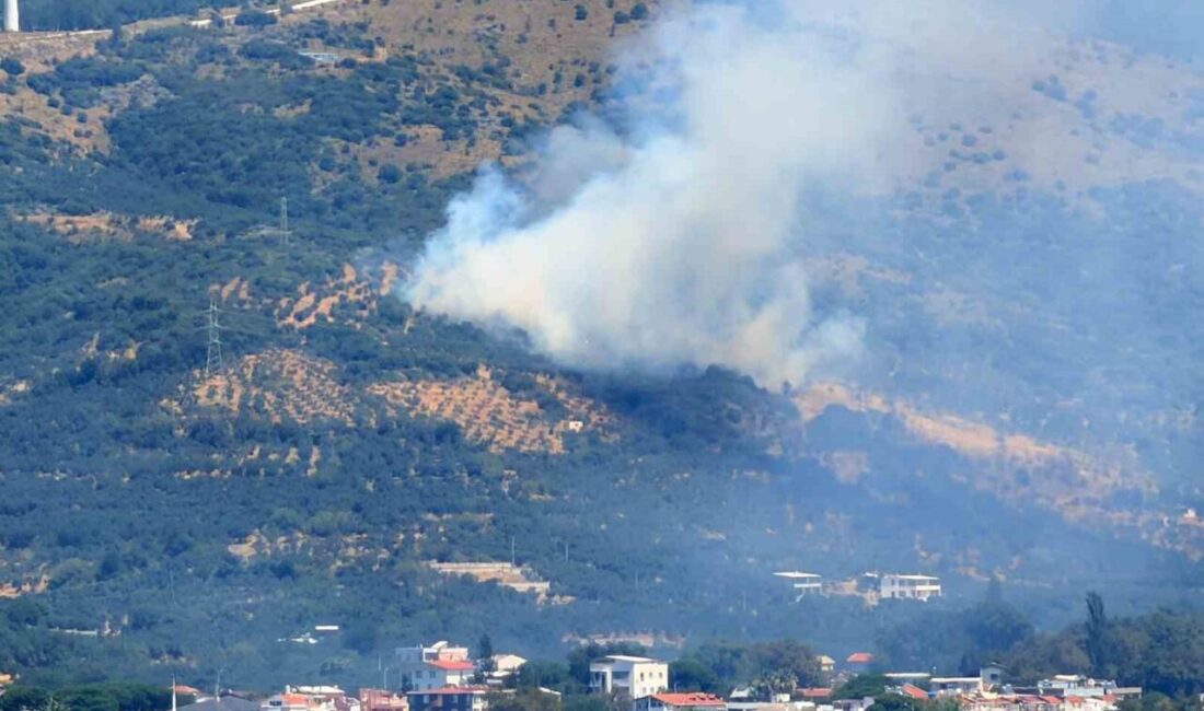 Balıkesir’in Marmara ilçesinde ormanlık alanda çıkan yangına Orman Bölge Müdürlüğü