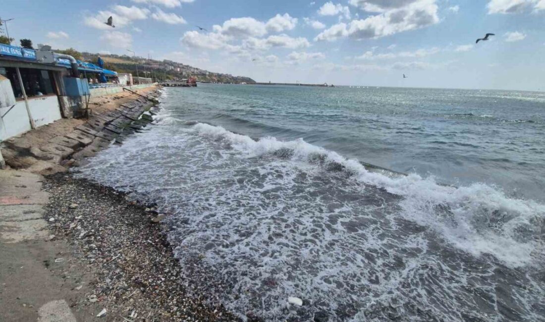 Marmara’da deniz ulaşımına poyraz engeli Marmara Denizi’nde etkili olan poyraz, Tekirdağ kıyılarında deniz ulaşımını olumsuz