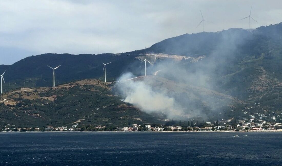 Balıkesir’in Marmara ilçesinde çıkan orman yangınına sebep olduğu tespit edilen