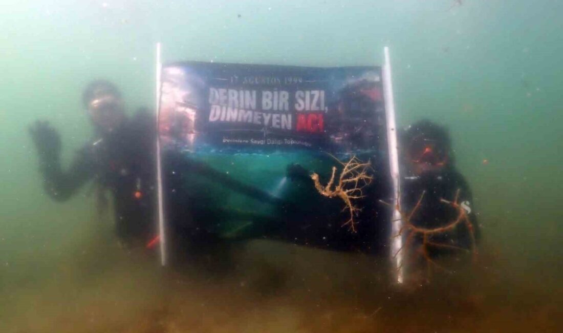 Marmara’nın karanlık gecesi derinlerde anıldı: “17 Ağustos derin bir sızı, dinmeyen acı” Asrın felaketi olarak nitelendirilen ve Türkiye’yi yasa boğan 17 Ağustos
