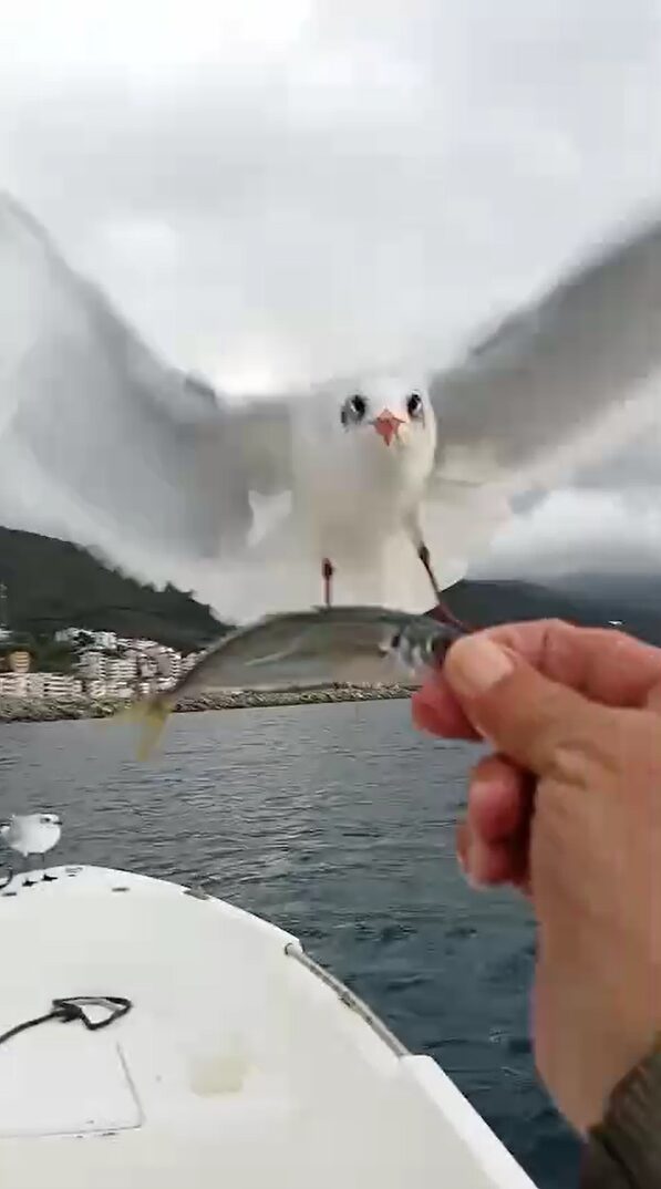 Bülten Medya -