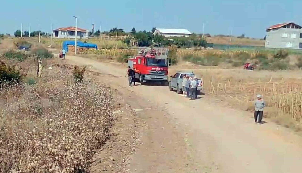 Meriç’te korkutan yangın: Yerleşim yerlerine sıçramadan yangın söndürüldü 22 Bülten Medya -