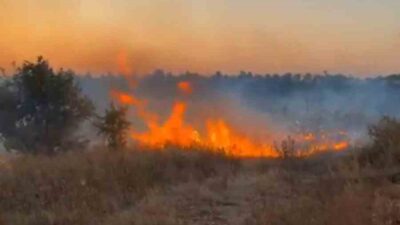 Edirne’nin Meriç ilçesinde otluk alanda çıkan yangın, rüzgarın etkisiyle yayılmaya