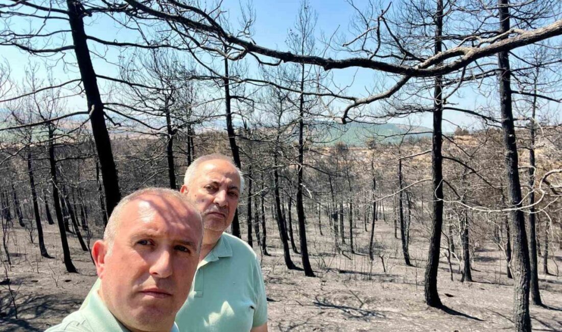 Mimarlar Odası Başkanı Şahin: “Ormanlarımızı alevler kadar ihmaller de yakıyor” TMMOB Mimarlar Odası Balıkesir Şubesi, orman yangınlarının ardından yaptığı açıklamada,