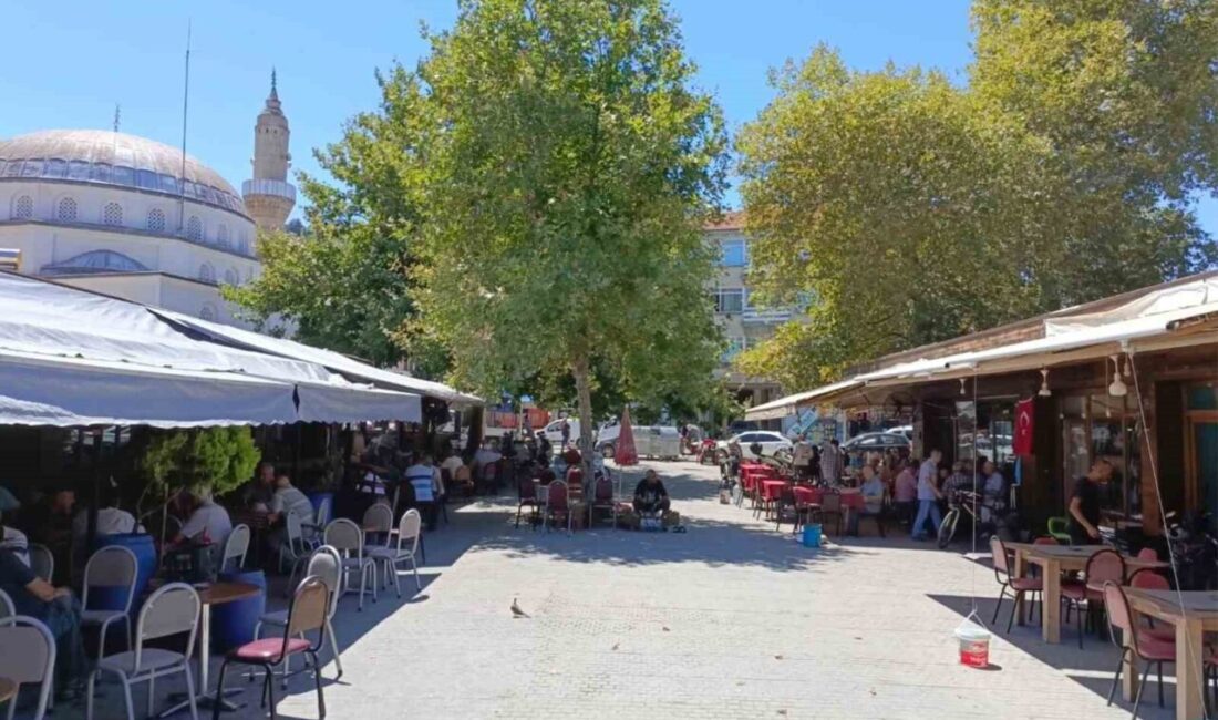 Mudanya’da Hal Meydanında bulunan işyerlerinin dün yapılan ihalesinde daha önceki