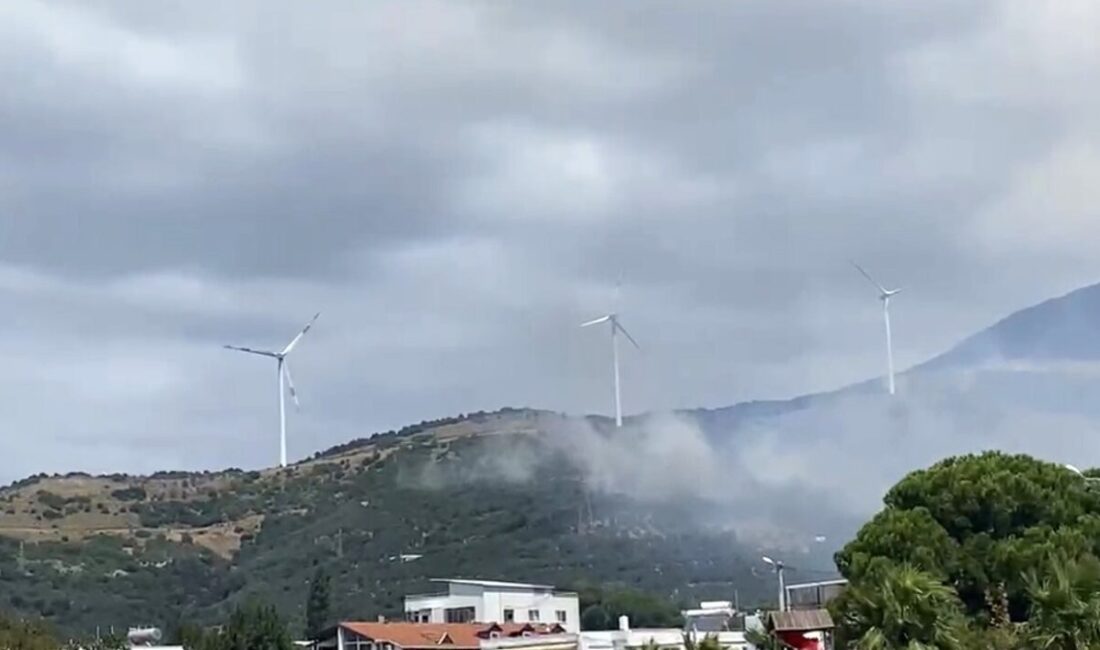 Balıkesir’in Erdek ilçesine bağlı Narlı Mahallesi’nde ormanlık alanda çıkan yangına
