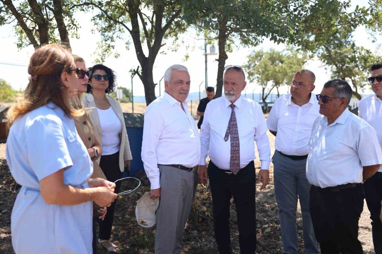 Nilüfer’de sahipsiz hayvanlar için yeni yuva 13 Bülten Medya -