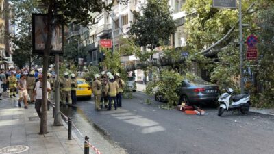 İstanbul Şişli’de henüz belirlenemeyen bir nedenle kökünden devrilen çınar ağacı,