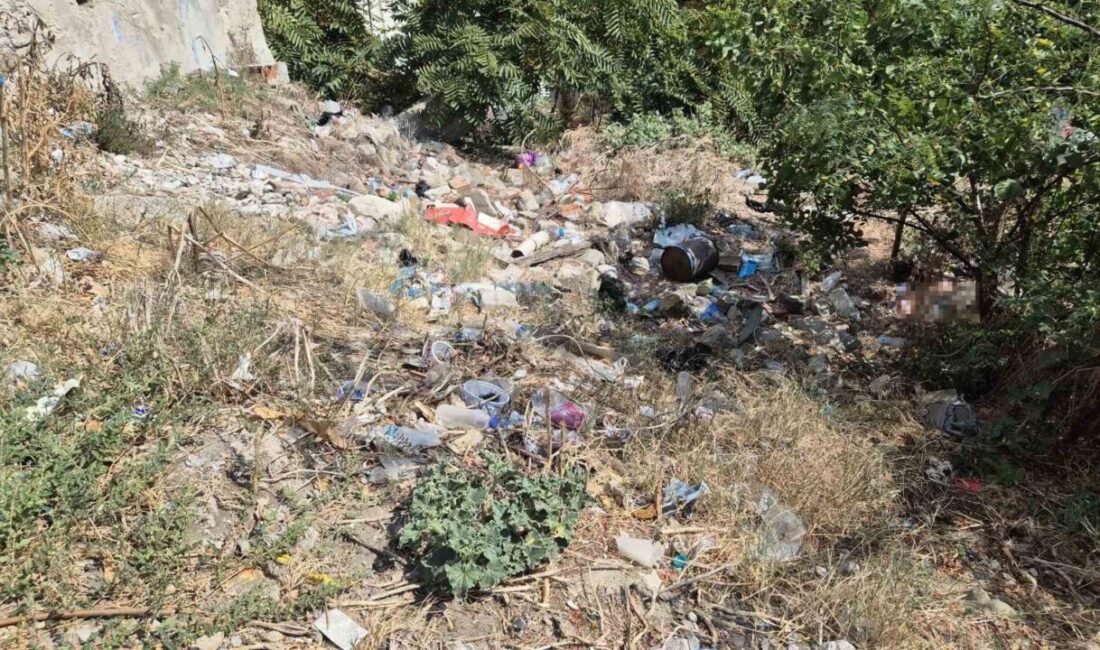 Okulun dibindeki metruk alan çöplüğe döndü Tekirdağ’ın Süleymanpaşa ilçesi Ertuğrul Mahallesi’nde bulunan Namık Kemal İlkokulu’nun hemen