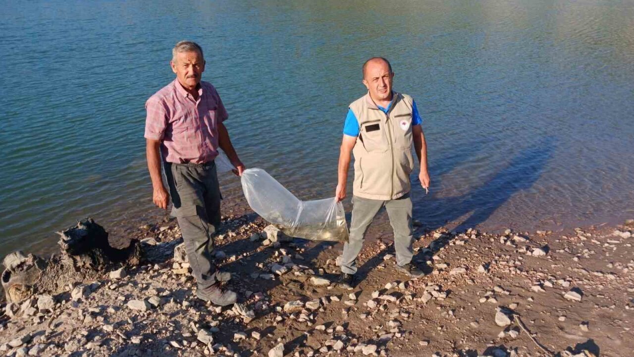 Orhaneli’de göletler sazan yavrularıyla buluştu 7 Bülten Medya -