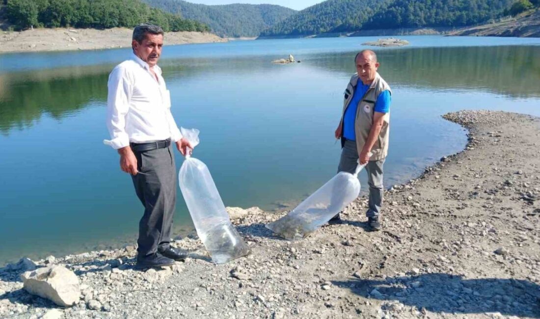 Orhaneli’de göletler sazan yavrularıyla buluştu Orhaneli’de bulunan sulama göletlerine sazan yavruları bırakıldı. Bursa’daki 41 ayrı