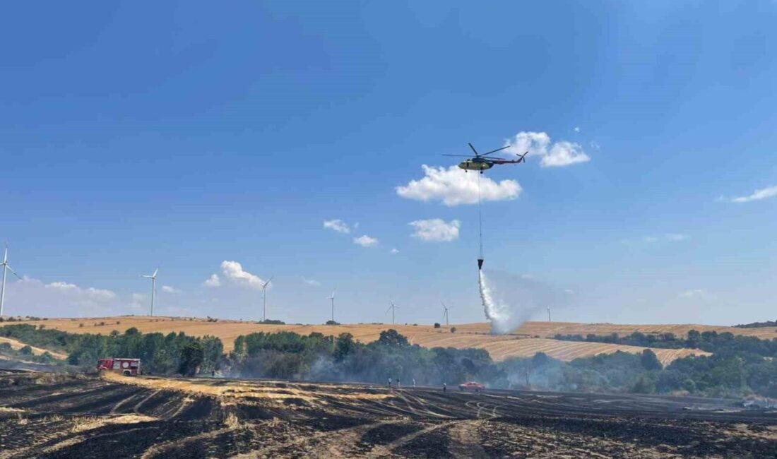 Orman ve anız yangını havadan ve karadan müdahaleyle söndürüldü Tekirdağ’ın Hayrabolu ilçesinde çıkan anız ve orman yangını, ekiplerin havadan