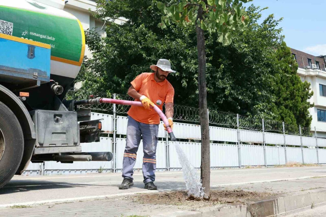 Osmangazi’de yeşil alanlarda titiz çalışma 16 Bülten Medya -