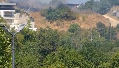 Bursa’nın Nilüfer ilçesinde otluk alanda çıkan yangın, itfaiye ekiplerinin hızlı