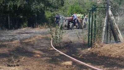Bilecik’te otluk alandaki yangın ormana sıçramadan söndürüldü. Yangın, Bilecik merkeze
