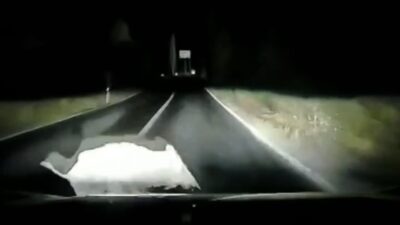 Bursa’nın Orhangazi ilçesinde İznik Güney yolu üzerinde Sölöz Mahallesi yakınlarında