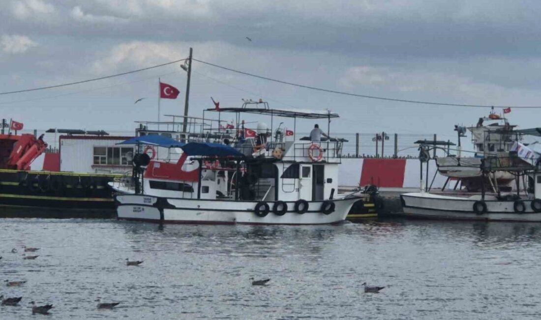 Tekirdağ’da küçük ölçekli balıkçı tekneleri için av yasağının 15 Ağustos’ta