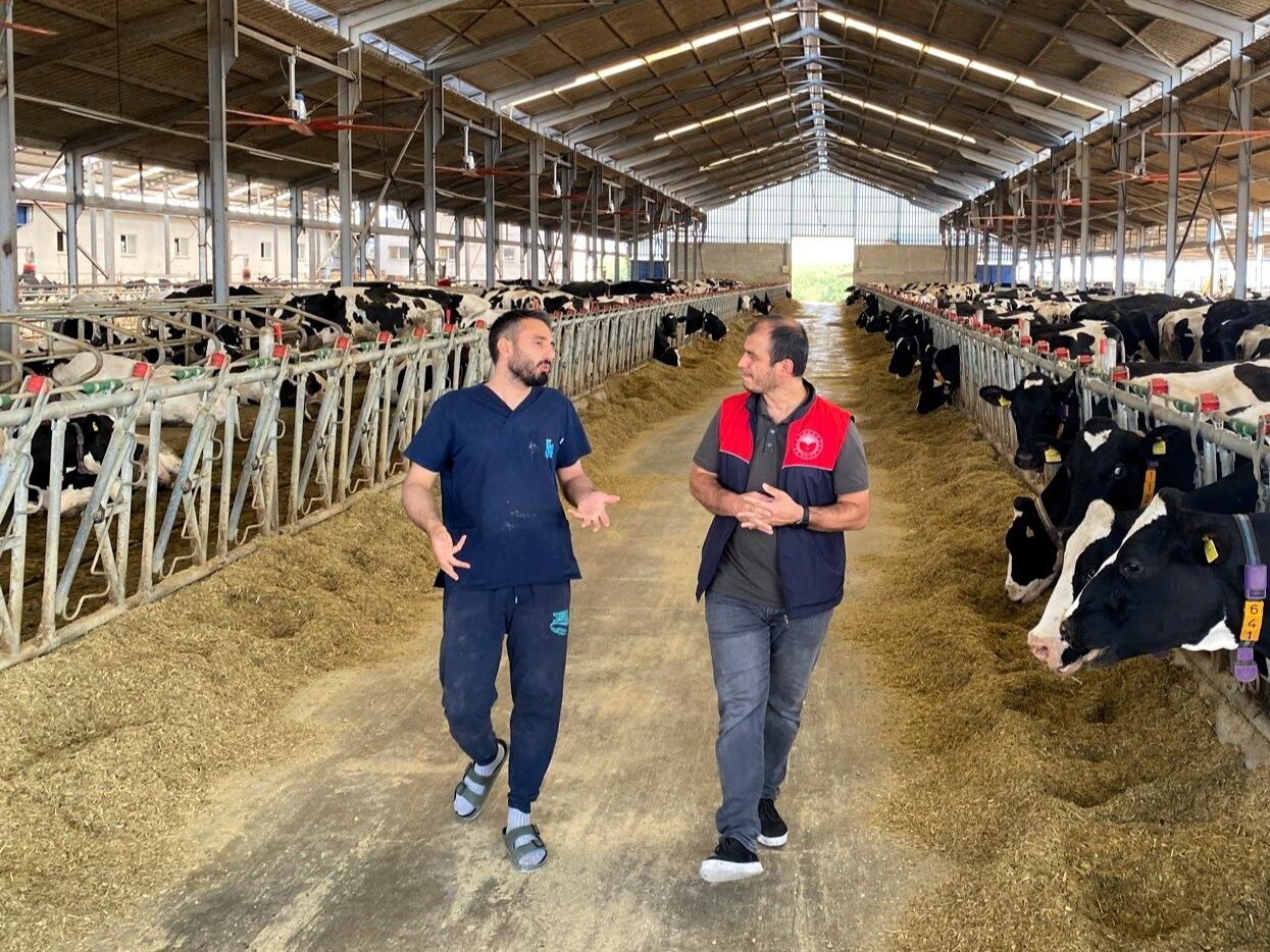 Pınarhisar’da üçüz buzağı sevinci 4 Bülten Medya -