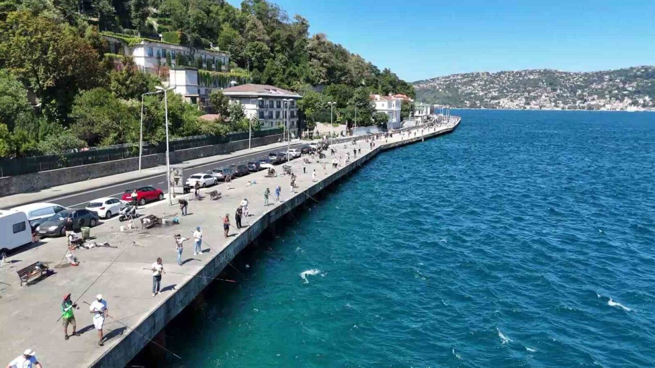 Sarıyer sahilinde palamut bolluğu: Oltasını alan sahile koştu 11 Bülten Medya -