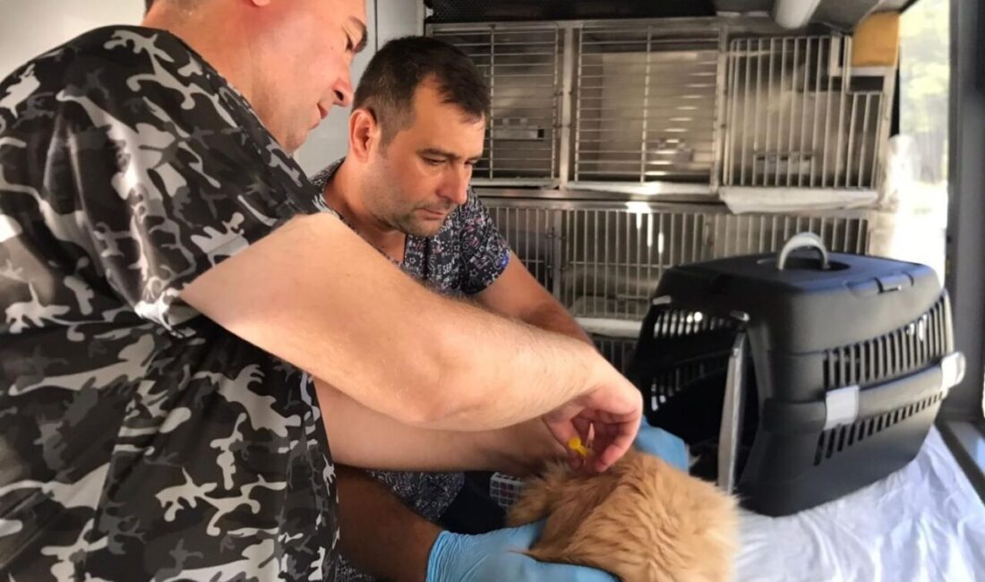 Balıkesir Büyükşehir Belediyesi’nin Can Dost Yerinde Hayvan Bakım ve Tedavi