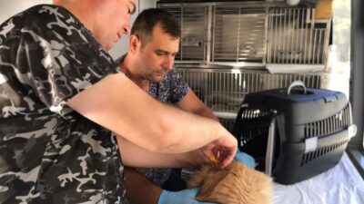 Balıkesir Büyükşehir Belediyesi’nin Can Dost Yerinde Hayvan Bakım ve Tedavi
