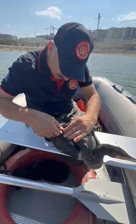 Sazlıbosna Barajı’nda misina ve ağlara takılan karabatağı itfaiye kurtardı 4 Bülten Medya -