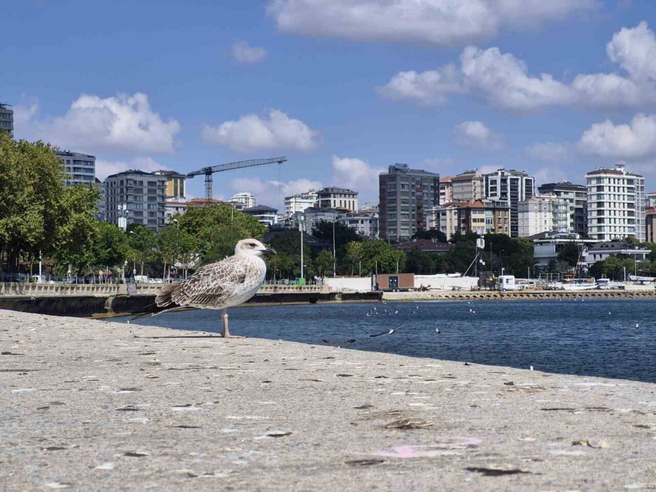 Sıcaktan bunalan İstanbullular kendini Caddebostan Sahili’ne attı 23 Bülten Medya -