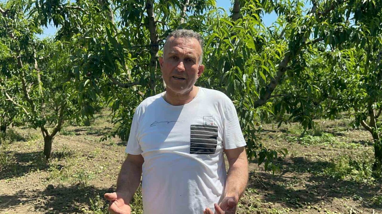 Sıfır kimyasal sıfır maliyet: Bedava hayvansal gübreyle üretim yapıyor 12 Bülten Medya -