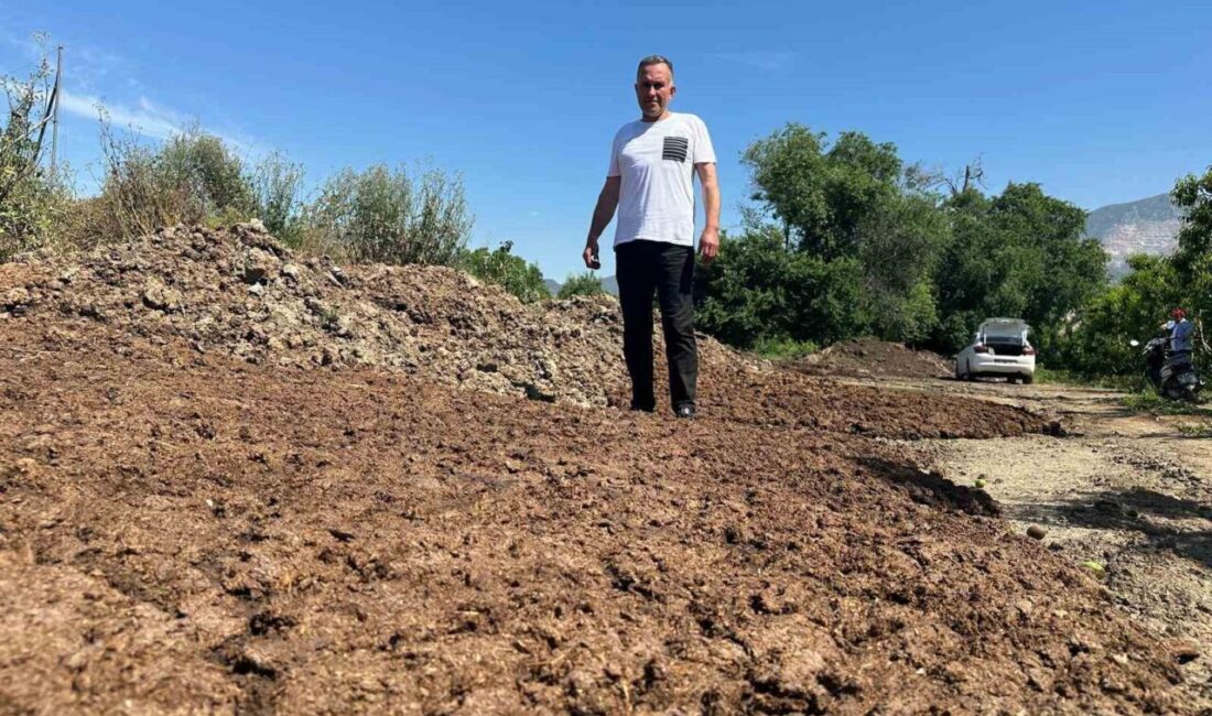 Sıfır kimyasal sıfır maliyet: Bedava hayvansal gübreyle üretim yapıyor Bursa’nın Gürsu ilçesinde meyve üreticiliği yapan Mehmet Yıldırım, bahçesinde kimyasal
