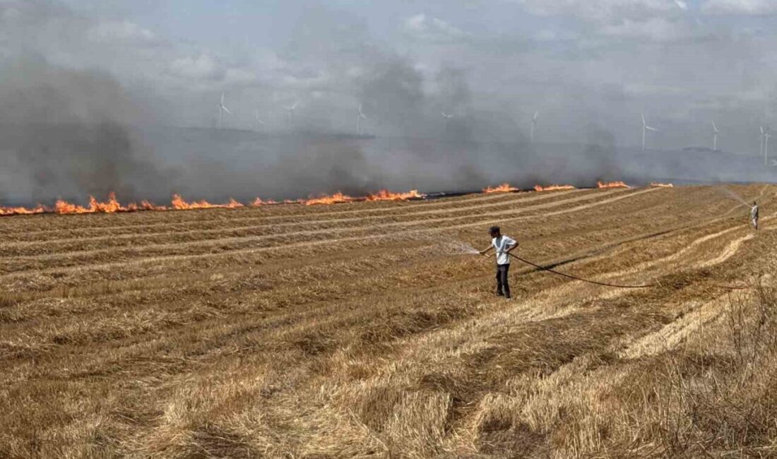 Silivri’de tarla yangını: TEM otoyolu kapatıldı Silivri’nin Akören Mahallesi’nde tarlada çıkan yangın, rüzgarın etkisiyle geniş alana