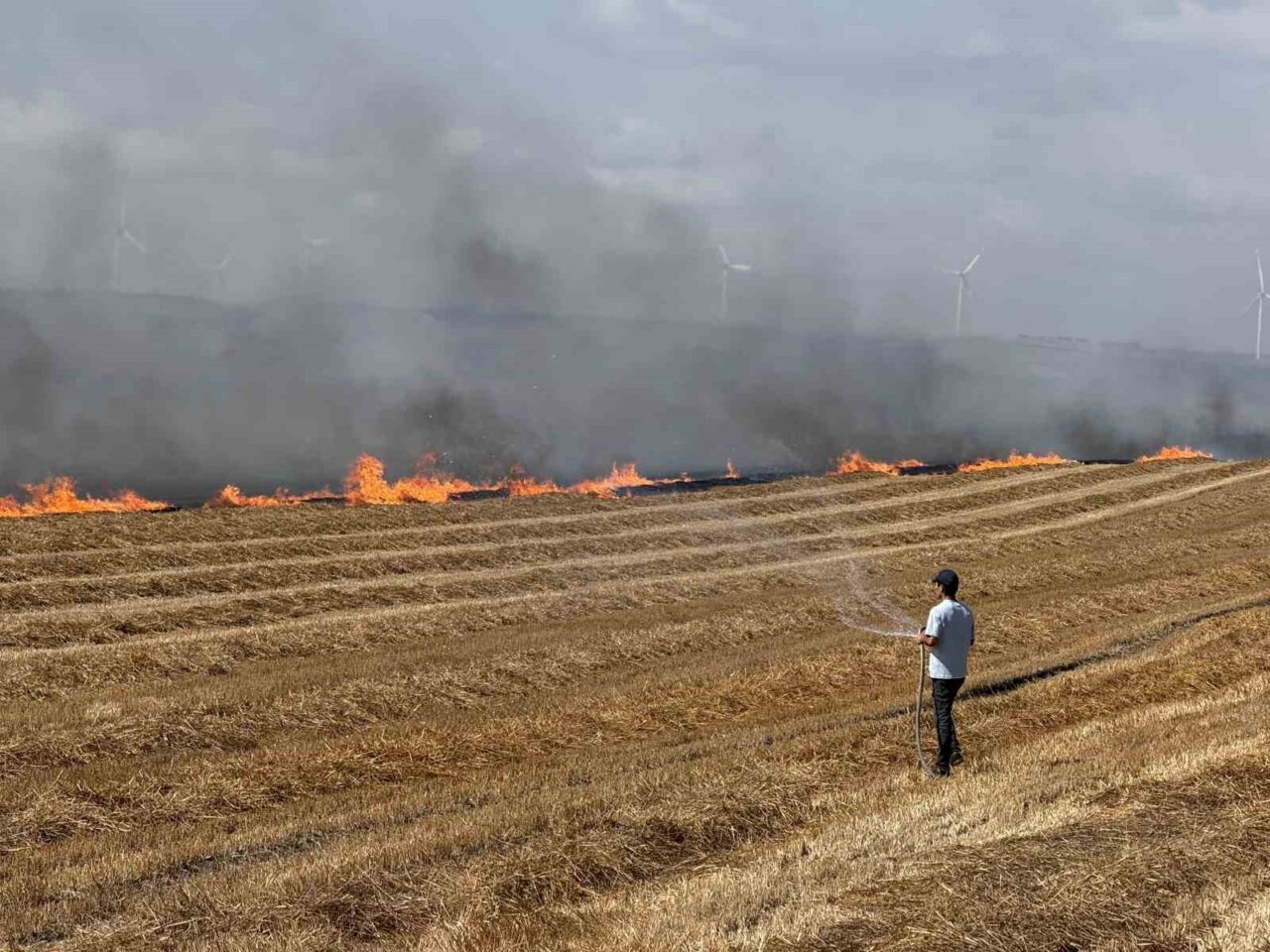 Silivri’de tarla yangını: TEM otoyolu kapatıldı 3 Bülten Medya -